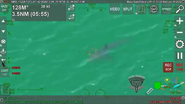 State Police Airwing conducts aerial shark patrol over Provincetown