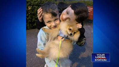 Family desperate to get beloved pet back after being ghosted by dog-sitter 