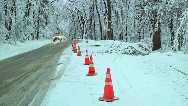 Half of Massachusetts town still without power after winter storm downs trees and power lines