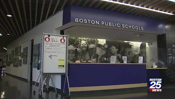‘Aggravated assault’ suspects protected by Boston Public Schools