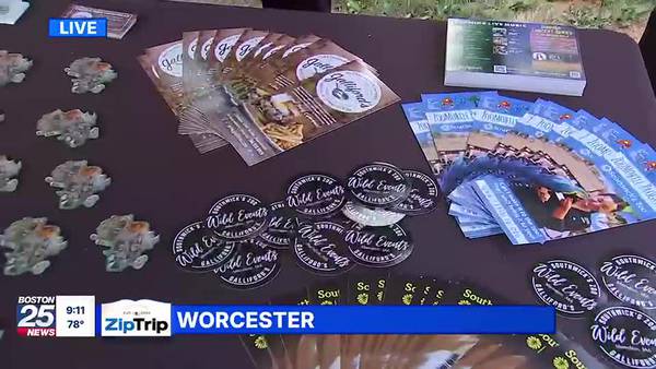 Worcester Zip Trip: What’s New at the Zoo