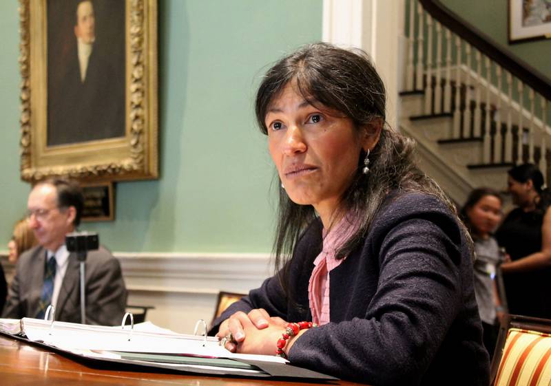 Dalila Argaez Wendlandt at a Governor's Council hearing in 2017.