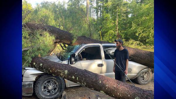 Hollis man nearly crushed by falling trees in severe storm