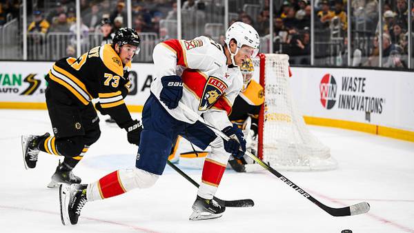 Reinhart and Lundell each score twice and Panthers beat Bruins 4-3