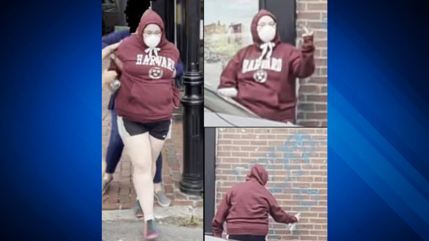 波士顿警方搜索与恶意破坏有关的被称为“查尔斯街少年标记者”的女性