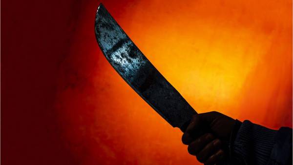 Sheriff: Florida man wakes up to stranger sharpening 19-inch machete with baseball bat