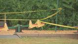 Tree branch weighing ‘thousands of pounds’ falls on kids at Norwood playground, police chief says