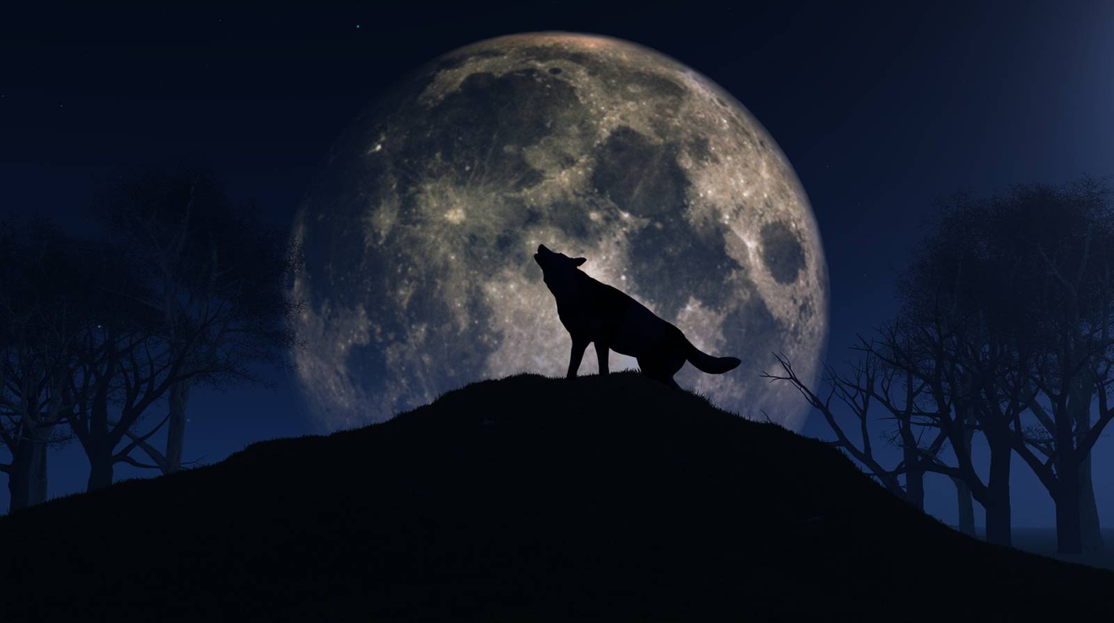 Wolf Moon First full moon of 2024 to shine bright this week Boston