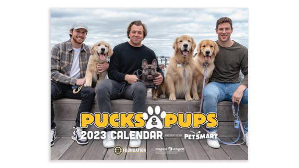 Bruins unveil ‘Pucks and Pups’ calendar for 2023