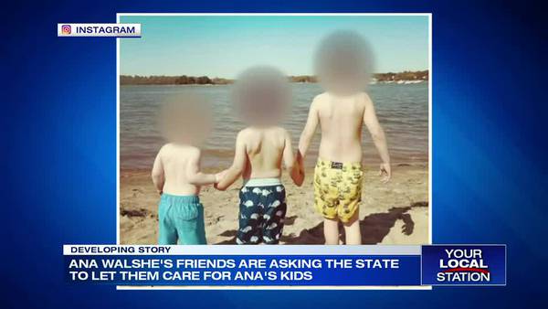 ‘Do not separate the children’: Friends of Ana Walshe appeal for custody of kids 