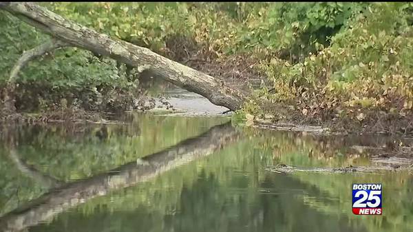 Noxious odor along Charles River puzzles area residents
