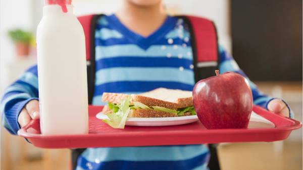 House rejects bills targeting school food programs