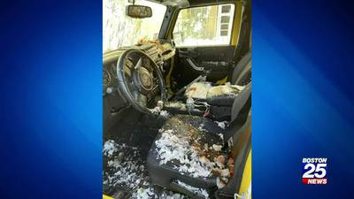 South Boston man says inside of car “absolutely destroyed” over parking space