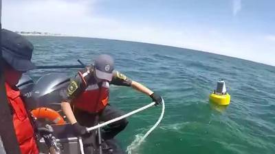 Tracking great white sharks on the South Shore
