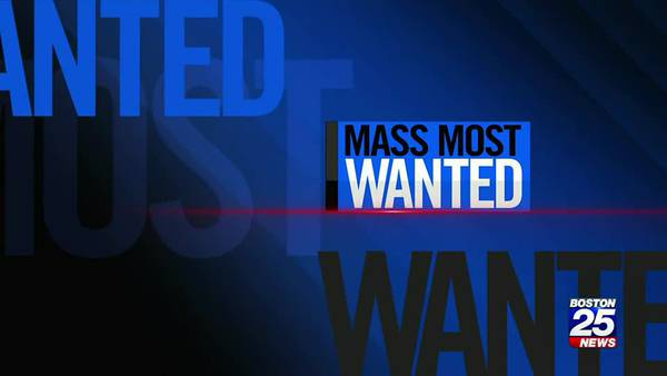 Mass Most Wanted: Have you seen these suspects?