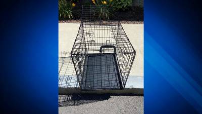 Dog found abandoned in crate on hot day in Dedham, police investigating