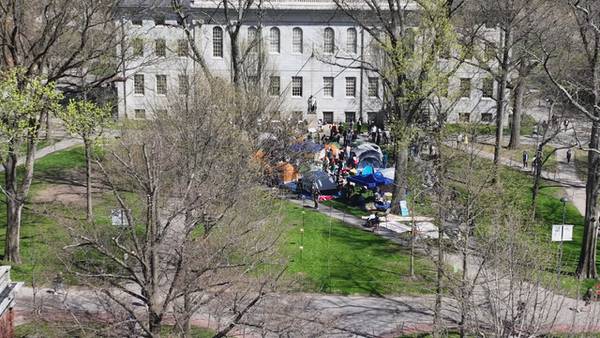 Students at Harvard join pro-Palestinian protests by establishing encampments on school yard 