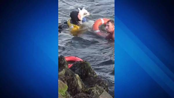 WATCH: Two men rescue dog from waters off of East Boston