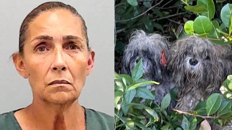 A woman has been arrested and charged after nine of her dogs were found dumped in a wooded area in Martin County, Florida, officials say.