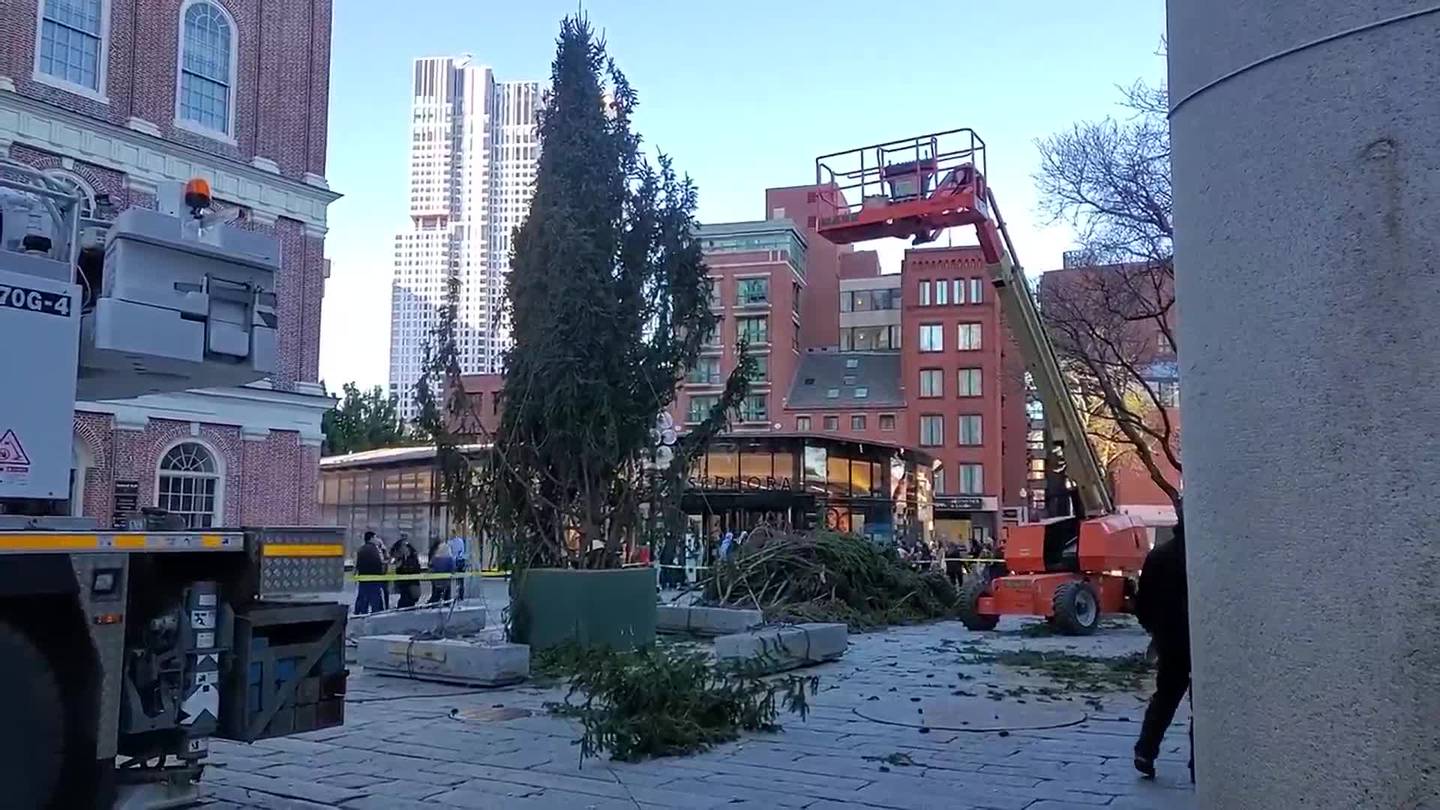 WATCH Christmas tree arrives at Faneuil Hall for holiday season