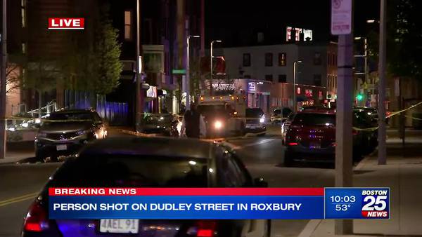 Police search for clues after man suffers life-threatening injuries in Roxbury shooting