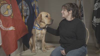 Local veterans paired with service dogs thanks to national nonprofit’s expansion