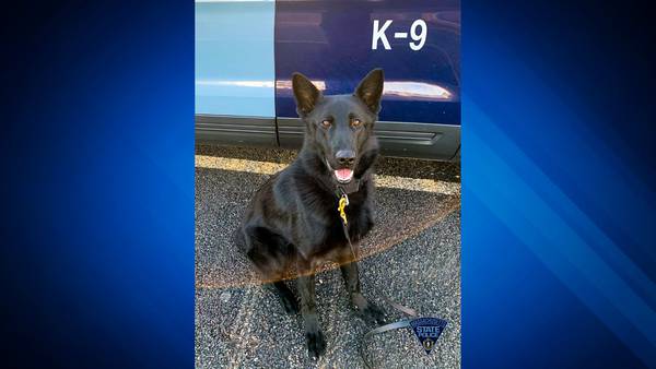 State Police K9 tracks down man accused of attacking 3 people at homeless encampment