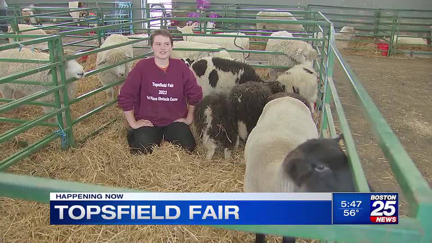 Topsfield Fair returns for 205th year Boston 25 News