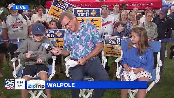 Walpole Park Zip Trip: Junior Reporter