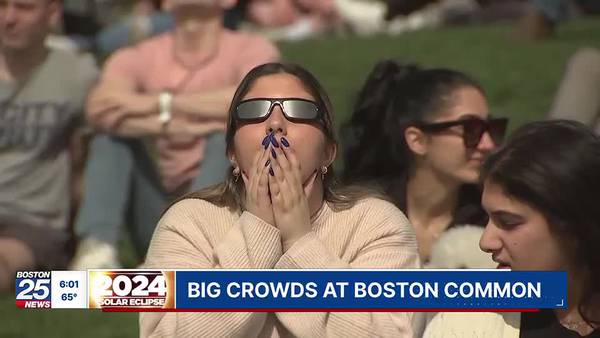 Hundreds of people gathered in Boston to watch the eclipse in the nation’s oldest city park