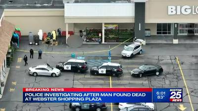Police investigate suspected murder in Webster