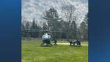 13-year-old girl who fell from horse in Plympton flown to Boston hospital with serious injuries