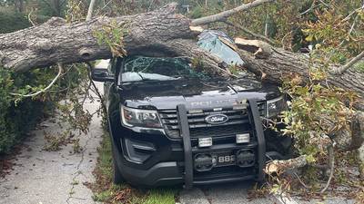 Tree crushes Cohasset Police cruiser