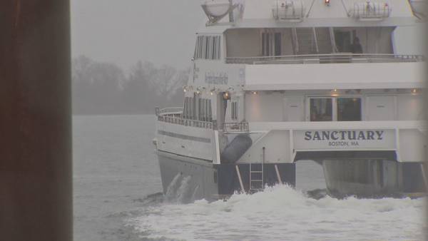 MBTA ferry service might be delayed due to whale in Boston Harbor