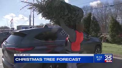 Christmas tree sales boom post-Thanksgiving