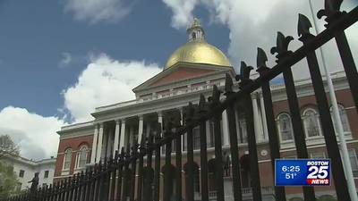 Advocates push to pass Fertility Preservation Law on Beacon Hill