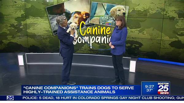 Canine Companions trains dogs to serve as assistance animals 