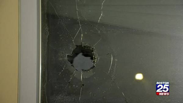 Bullets shatter a bedroom window in Somerville - inside three young girls were sleeping