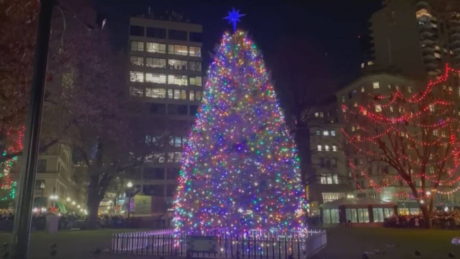 Holiday season kicks off with Boston Common Tree Lighting Boston 25 News