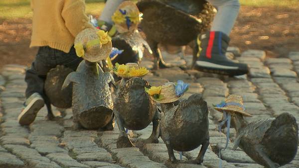Easter's finest! Make Way for Ducklings at Boston's Public Garden