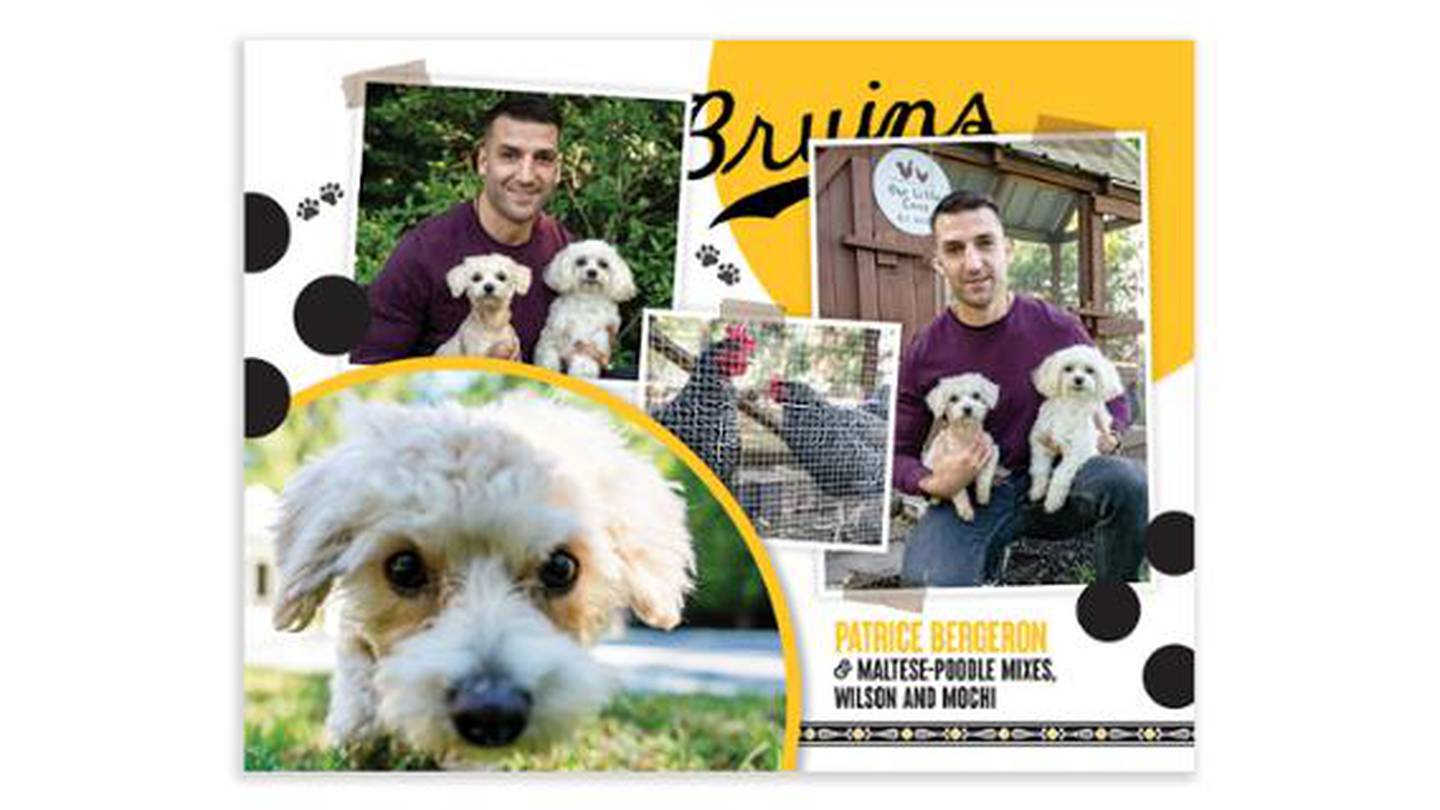 Bruins unveil ‘Pucks and Pups’ calendar for 2023 Boston 25 News