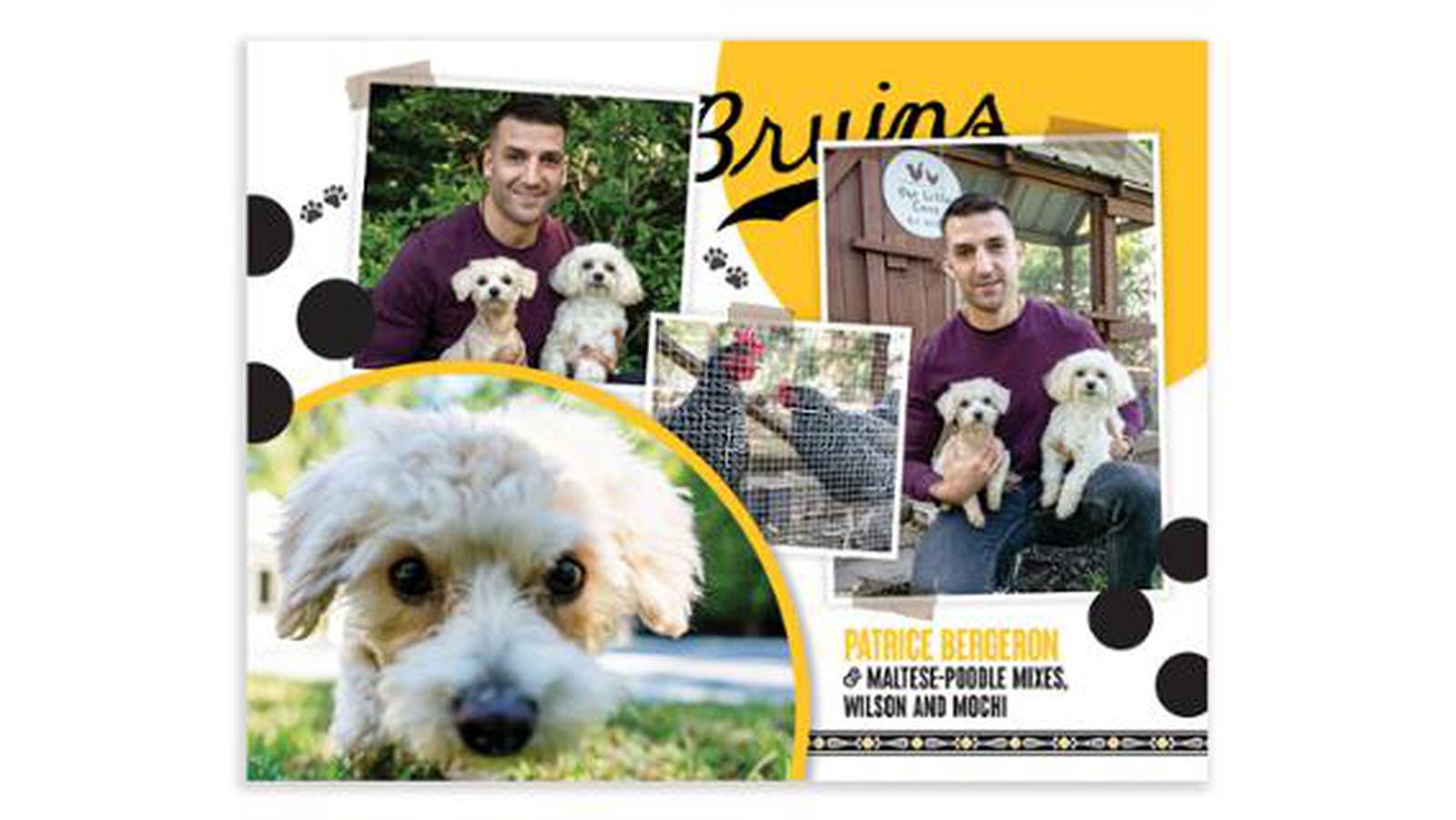 Bruins unveil ‘Pucks and Pups’ calendar for 2023 – Boston 25 News