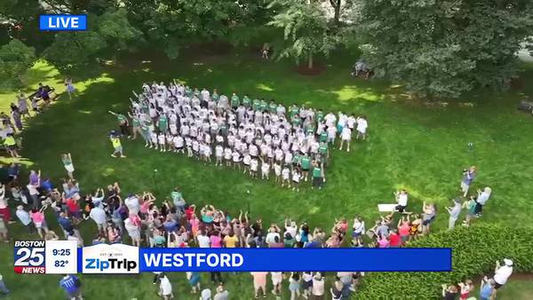 Westford Zip Trip: School Stars