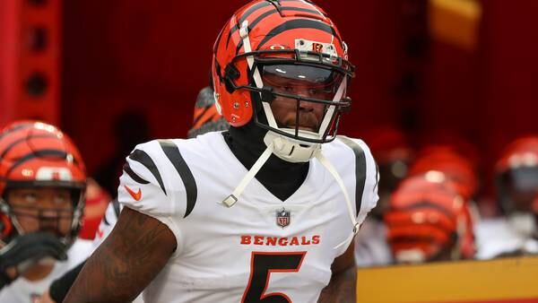 Bengals tell WR Tee Higgins they'll franchise tag him, per report