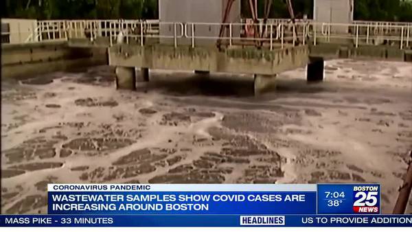 Wastewater samples show rise in covid levels