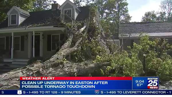 Confirmed tornado sends trees toppling down in Easton, Brockton