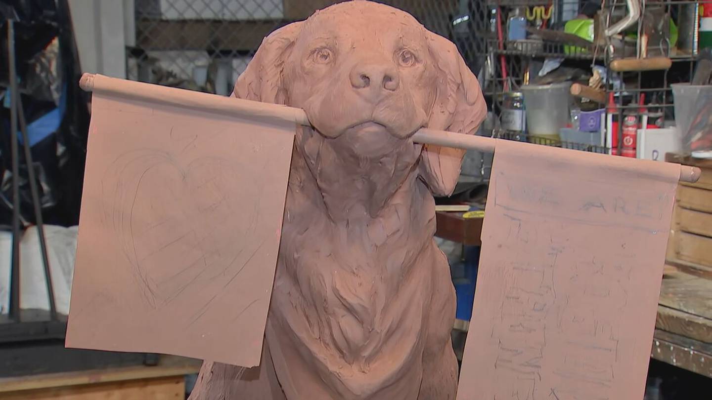 《令人惊叹的灵魂》：波士顿马拉松犬斯宾塞的纪念馆即将完工