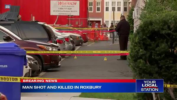 Person shot and killed in Roxbury