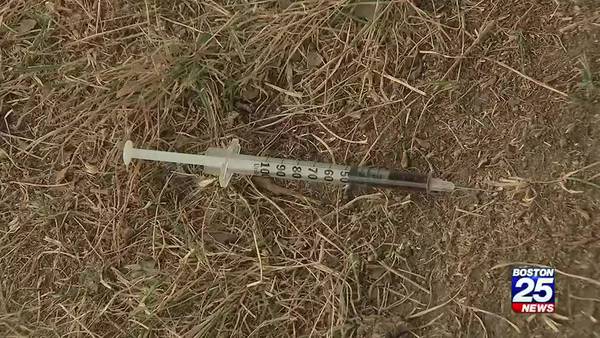 Parents fed up with littered needles at Roxbury park