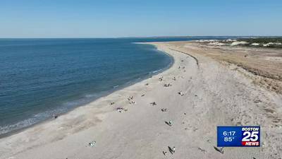 Soaring ocean temperatures in Florida concern local environmentalists